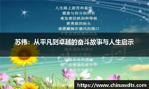 苏伟：从平凡到卓越的奋斗故事与人生启示